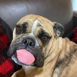 Meet your Posher, Sam